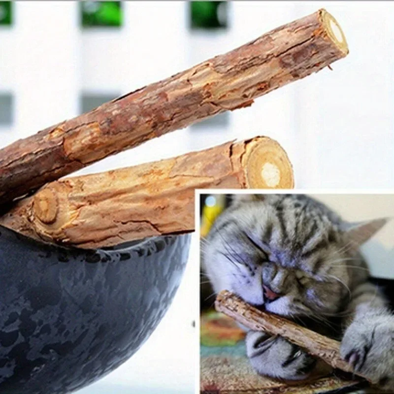 Cat Snacks Sticks 5PCS Cat Cleaning Teeth Pure Natural Catnip Cat Molar Toothpaste Stick Silvervine Actinidia Fruit Matatabi