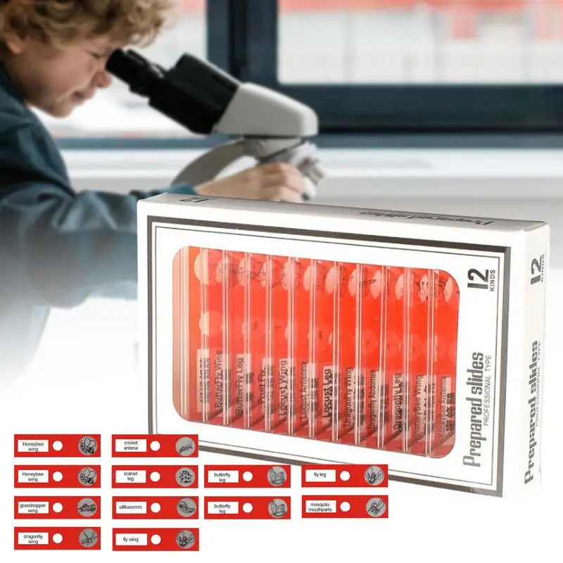 

Specimen Slides For Microscope 12pcs Preloaded Microscope Slides With Specimens For Kids Adults Prepared Microscope Slides For