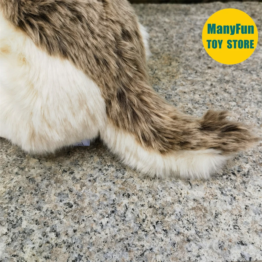 Coyote Plush Toy Lobos High Fidelity Grey Wolf Plushie Wolf Peluche Lifelike Stuffed Animals Simulation Doll Kawai Toy Gifts 6