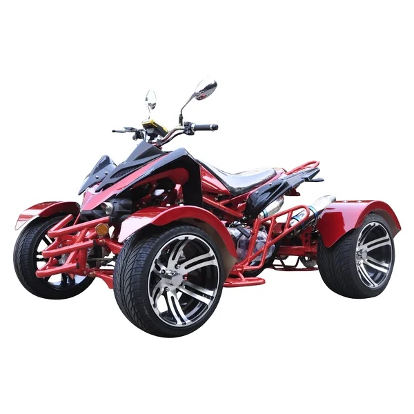 성인용 자동 변속기 Quand 자전거, 레이싱 오토바이, 4 Wheeler ATV, 300cc Cvt, 신제품