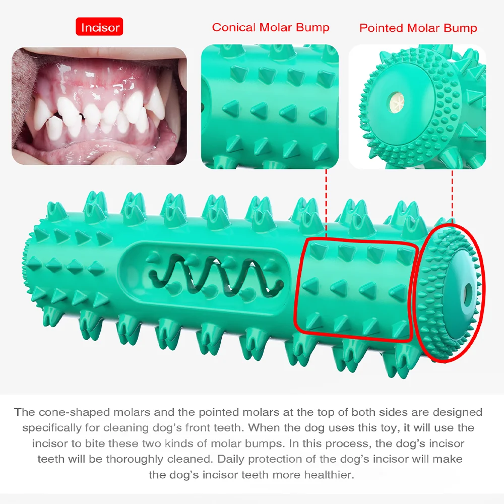 Squeaky Chew Water Floating Large Dog Toy Rubber Teeth Clean Interactive Training Toys Pet Labrador Golden Retriever Supplie 4