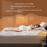 1Pc hôtel Style matelas coussin doux maison chambre Tatami tapis matelas épaissi coussin de couchage simple Double lit matelas Vrzone 3