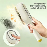 Electric Spray Hair Brush 2 In 1 Misting Steam Comb Anti Static Reduce Frizz Retractable Design Detangling Daily Hair Tool 4
