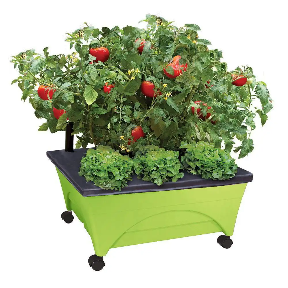 

Modern Raised Bed Grow Box – Self Watering and Improved Aeration – Mobile Unit with Casters