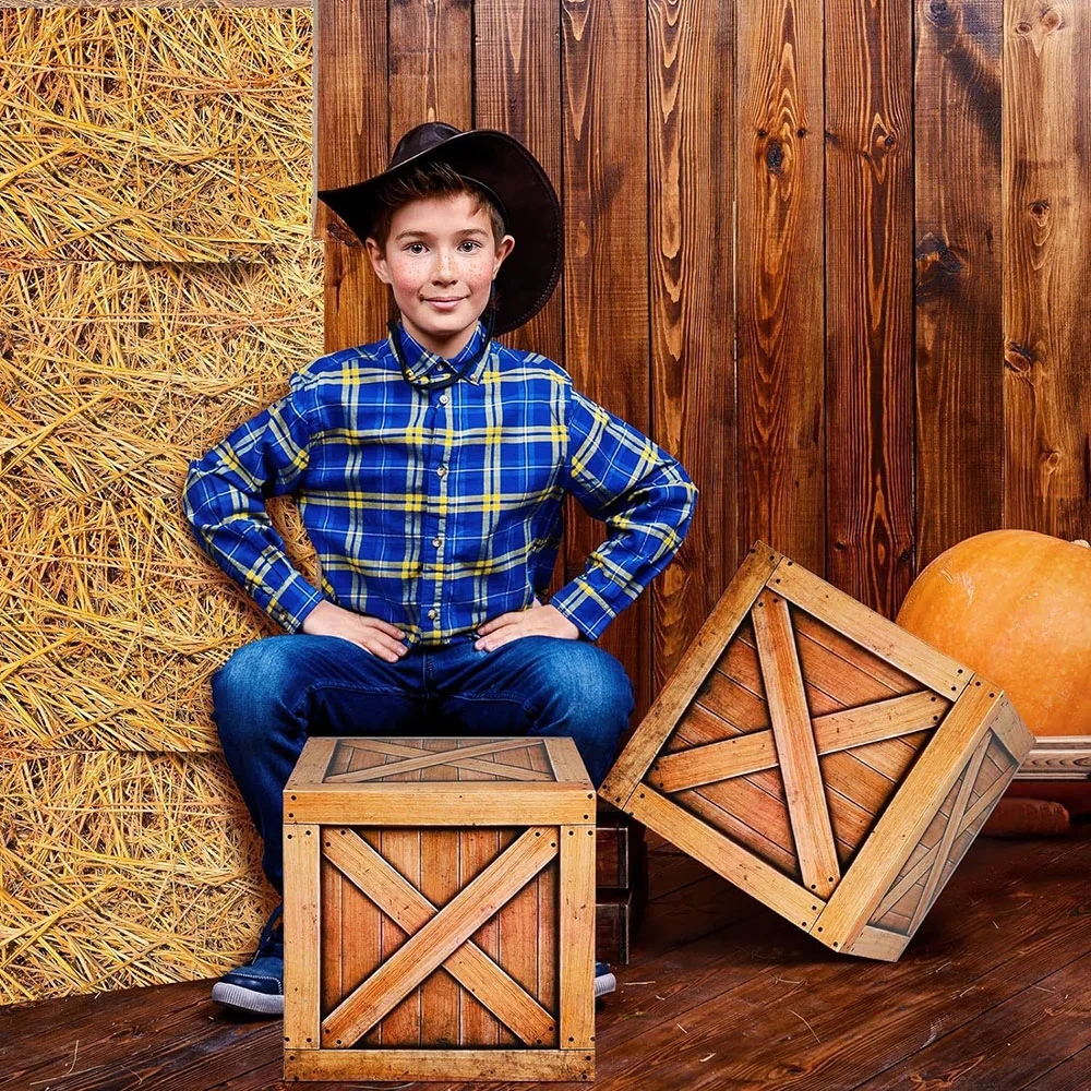 Cowboy Hay Bale Party Boxes 2