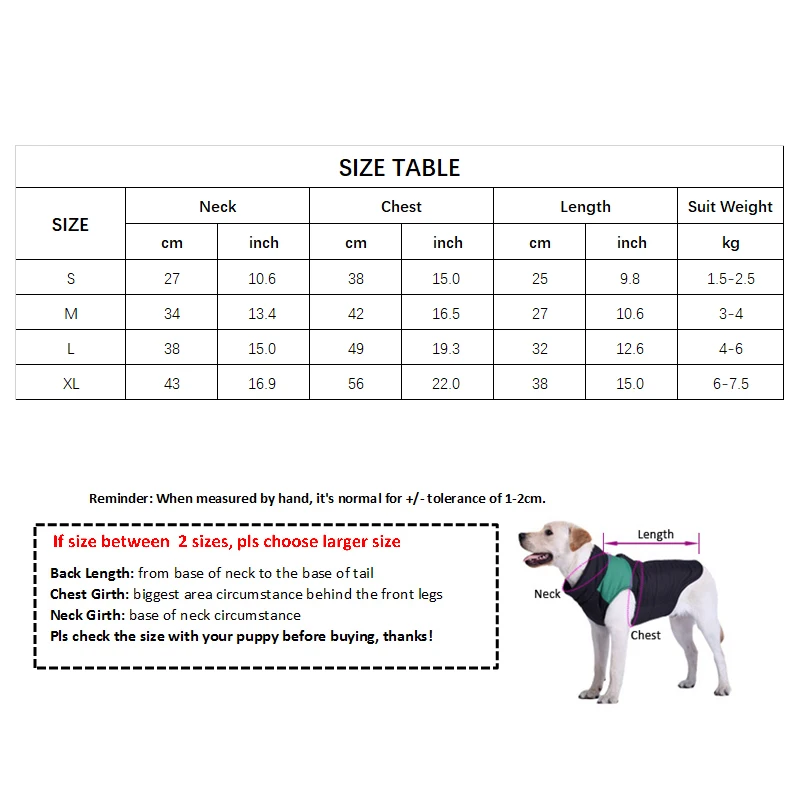 Robe d’Halloween pour Chihuahua - Costume Citrouille - 2025 - Vêtement et accessoires pour chiens - Doglovedesign