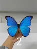 Real Butterfly Specimen Morpho Menelaus Big Blue Flash Butterfly Photo Frame Decorative Painting Ornament Birthday Gift Christma 4