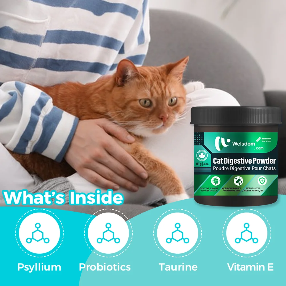Cat Digestive Powder Natural Digestive Health Support for Cats Improve Gut Health and Digestion