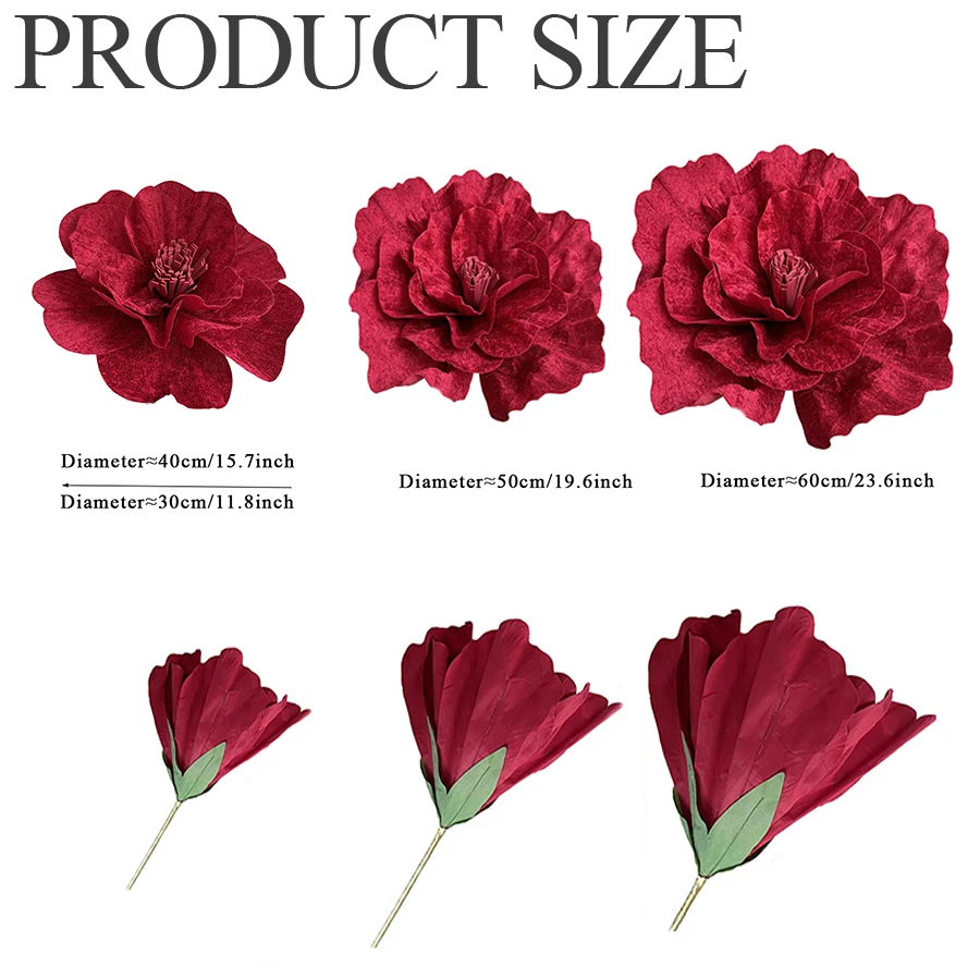 dsc-products