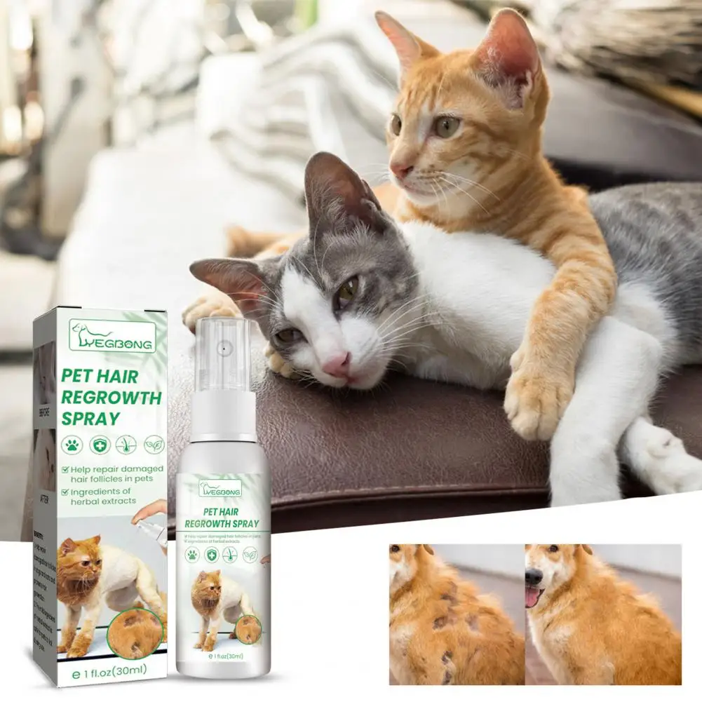 Cat Hair Spray Useful Easy to Use Knots to Absorb Dog Detangling Spray for Pet
