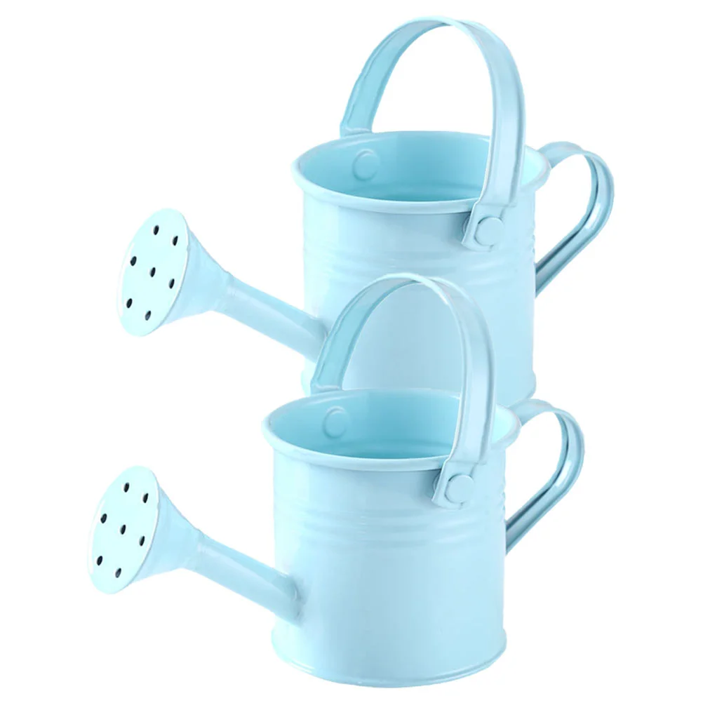 

2pcs Spray Bottles with Long Spout Sprinkler Watering Pot Metal Flower Watering Sprayer Blue