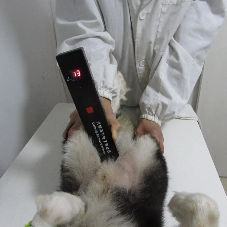 

Canine Hip электронный Гониометр для CHD (canine hip dysplasia) инструменты для проверки animal ортопедический инструмент