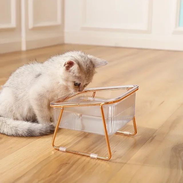 Cat Bowl with Raised Stand - Slanted Neck Protection for Drinking and Feeding - Easy to Clean Dual Iron Bowls 6