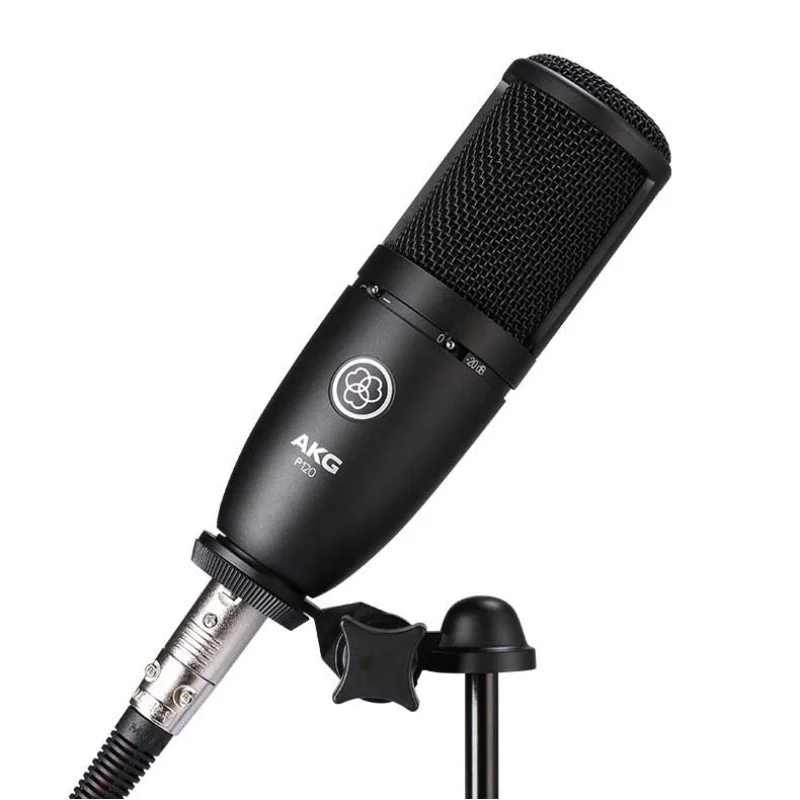P120 Condenser High Performance General Purpose Microphone Professional