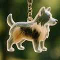 Dog 3