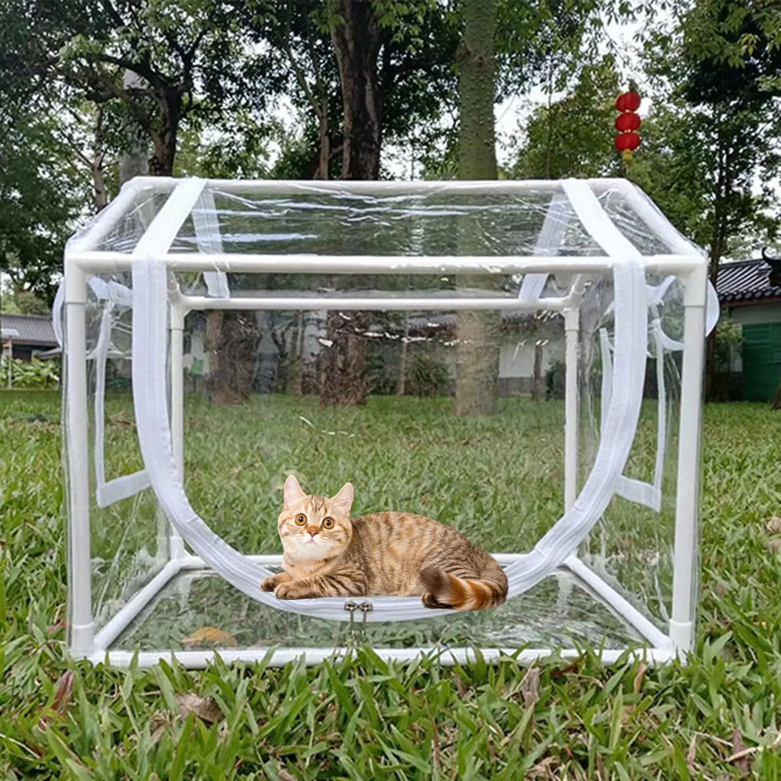 Mini Greenhouse Transparent Cold Resistant Plant Tent for Backyard Pet Patio
