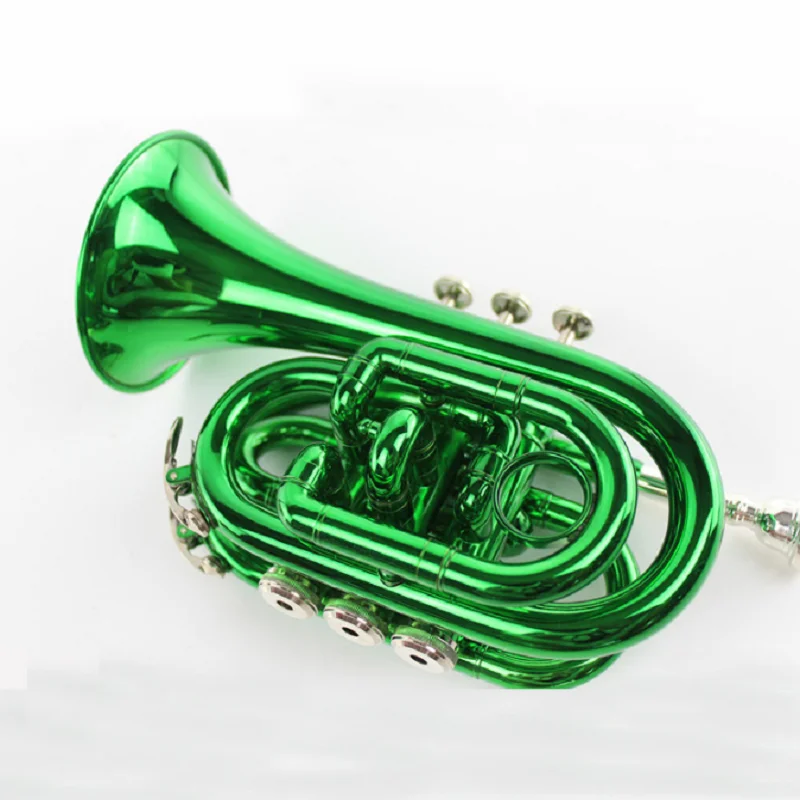 Pocket Green Palm Instrument for Beginner, Western Wind Instrument, B Flat, Manufacturers,
