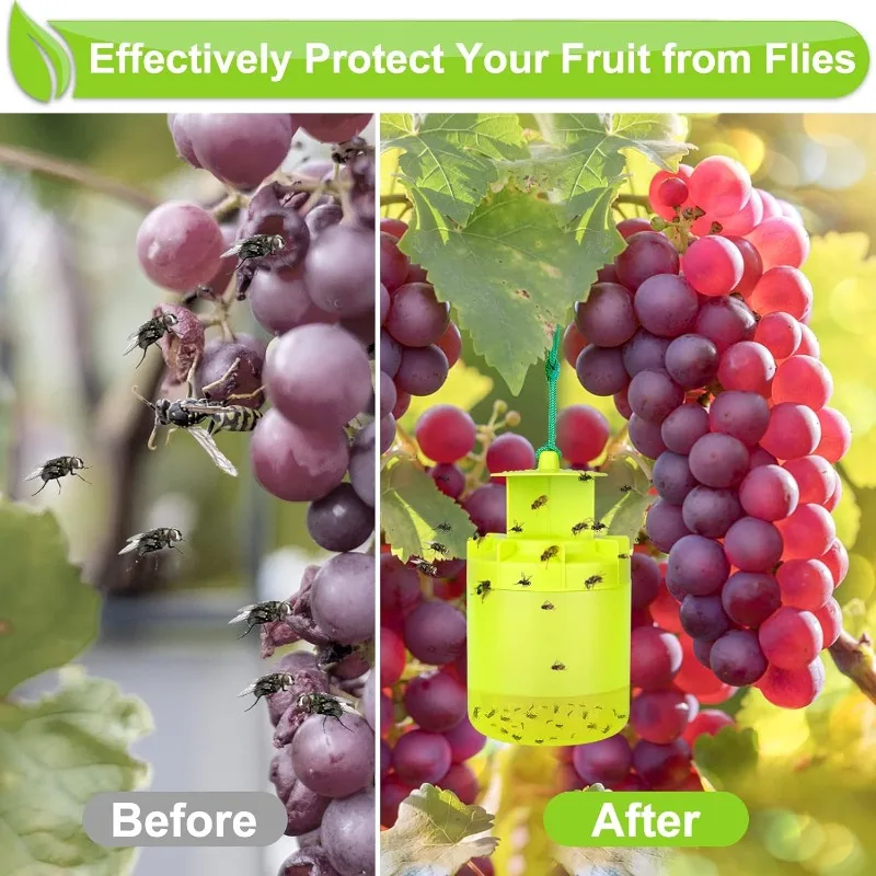 Outdoor Reusable Hanging Fruit Fly Trap with Pheromone Bait - Effective Pest Control for Gardens and Chicken Coops