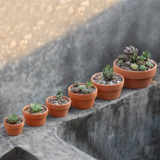 Acquista Fai da te piccolo vaso di fiori stampo in silicone piante