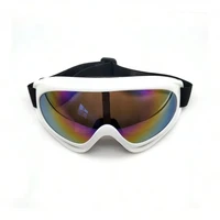 1pc Large Frame Polarized Ski Goggles For Men And Women, Windproof Snowproof UV Protection Anti-Fog Snowboard Goggles For Outdoo 1