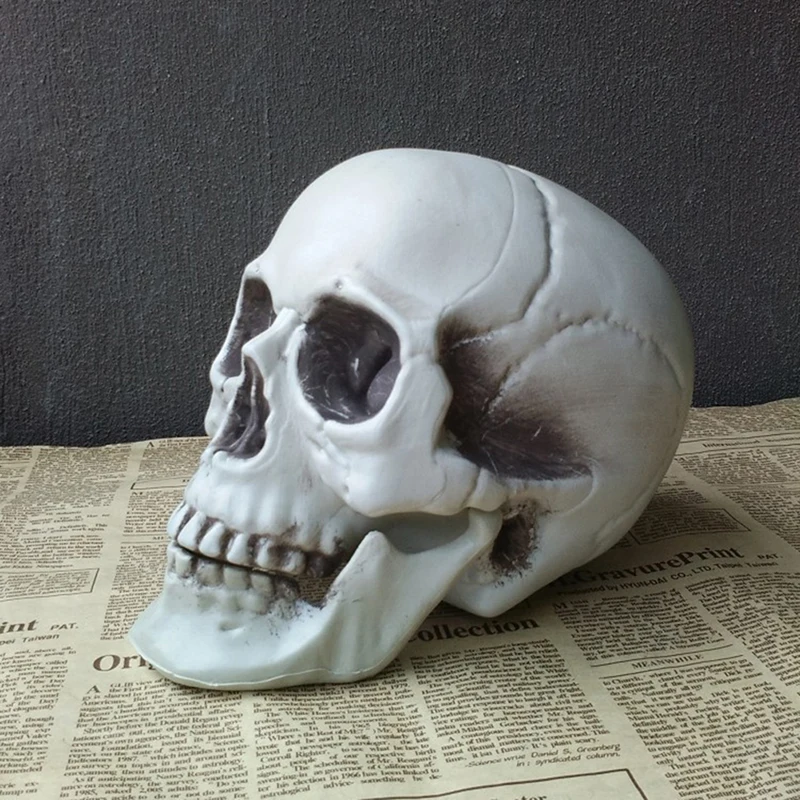 

Halloween Artificial Skull Head Model Skull Bone Scary Horror Skeleton Ornament