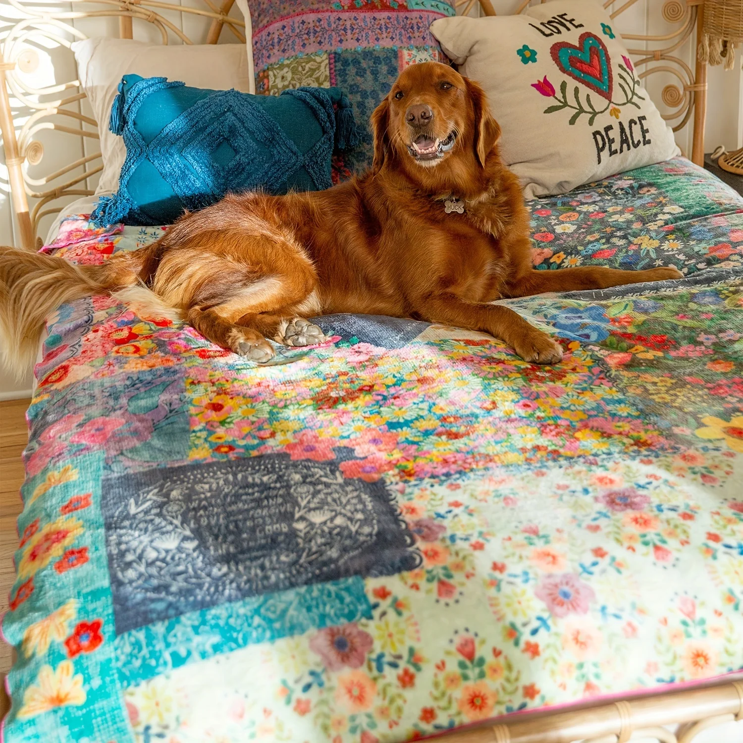 �÷η� ��ƼĪ ��Ʈ �ö��� ���, �����ϰ� ������, ķ�� ħ�� ���࿡ ����