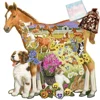 Irregular Creative Patterns Wooden Puzzle Toy，Wood Jigsaw Puzzles for Adults ，Color Sorting Game Brain Teaser Secret Puzzle Gift 3