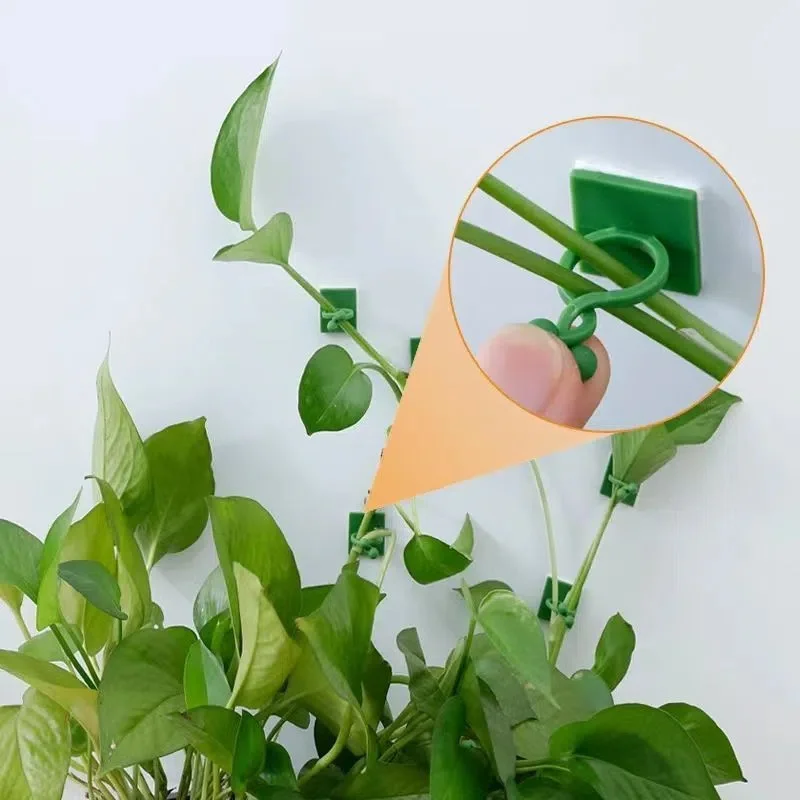 Plant Climbing Wall Self-Adhesive Fixed Buckle Hook Fastener Tied Fixture Vine Buckle Hook Garden Plant Wall Climbing Vine Clips 2