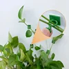 Plant Climbing Wall Self-Adhesive Fixed Buckle Hook Fastener Tied Fixture Vine Buckle Hook Garden Plant Wall Climbing Vine Clips 2