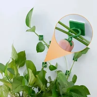 Plant Climbing Wall Self-Adhesive Fixed Buckle Hook Fastener Tied Fixture Vine Buckle Hook Garden Plant Wall Climbing Vine Clips 2