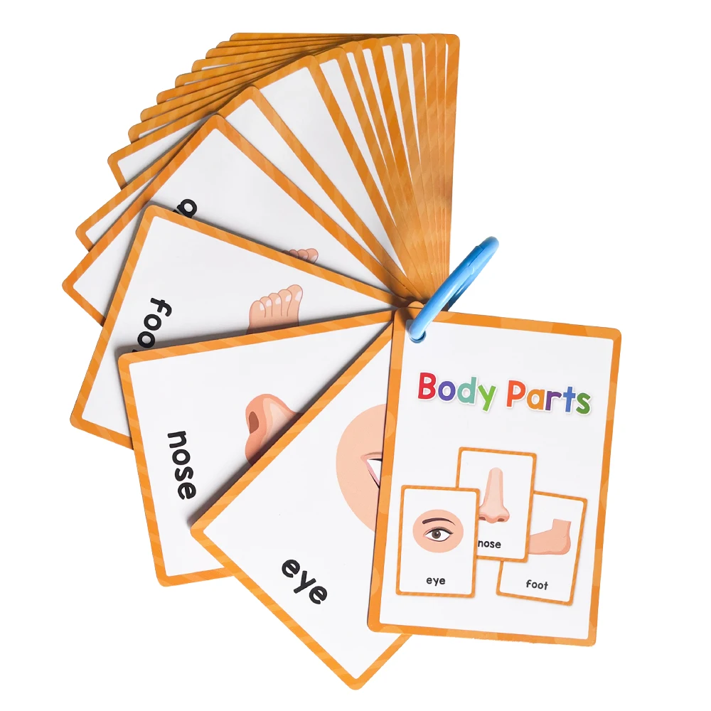 Kids Montessori English Words Learning Card Pocket Flashcards Early Educational Toys Classroom Supplies Teaching Aids 2