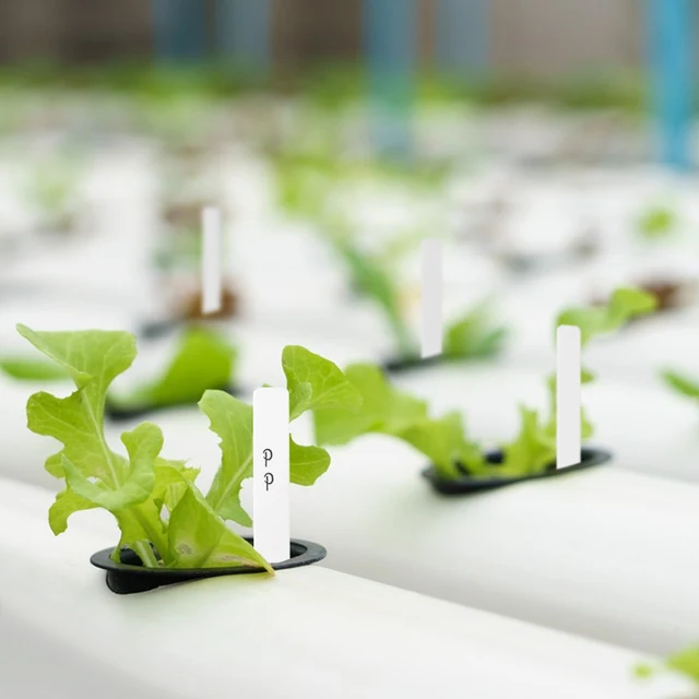 10-500Db 10.3X1,3 Cm Fehér Megvastagodott Növénycímkék Műanyag Kerti Címkék Tétek Óvodai Újrafelhasználható Markerek, Kerek Lyukakkal Lógó - Image 6