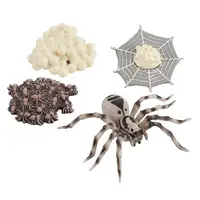 4 Pieces Life Cycle of A Spider, Animal Growth Cycle Includes Egg, Larva, 1