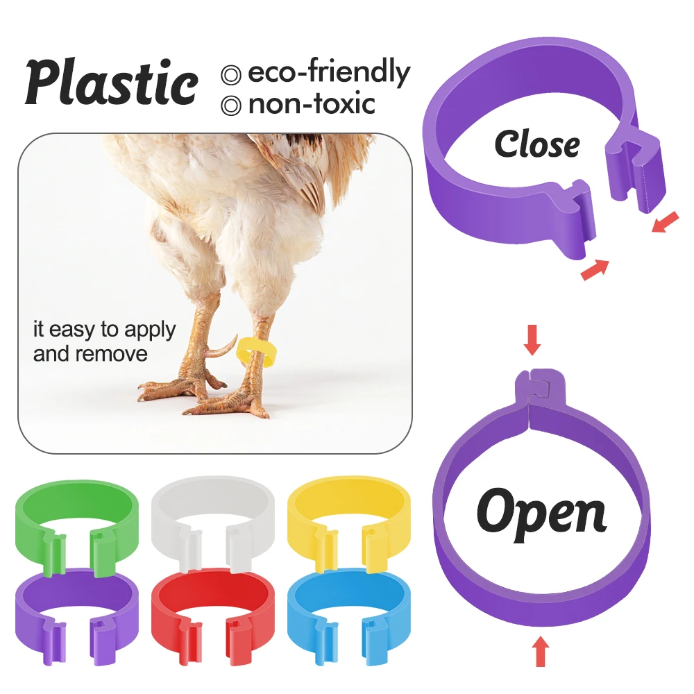 Bird foot rings birds foot rings 16mm Chicken Foot Ring 6 Colors Without Text Poultry Identification Tools Leg Rings Clip Farm Leg Chick Duck Goose Parrot