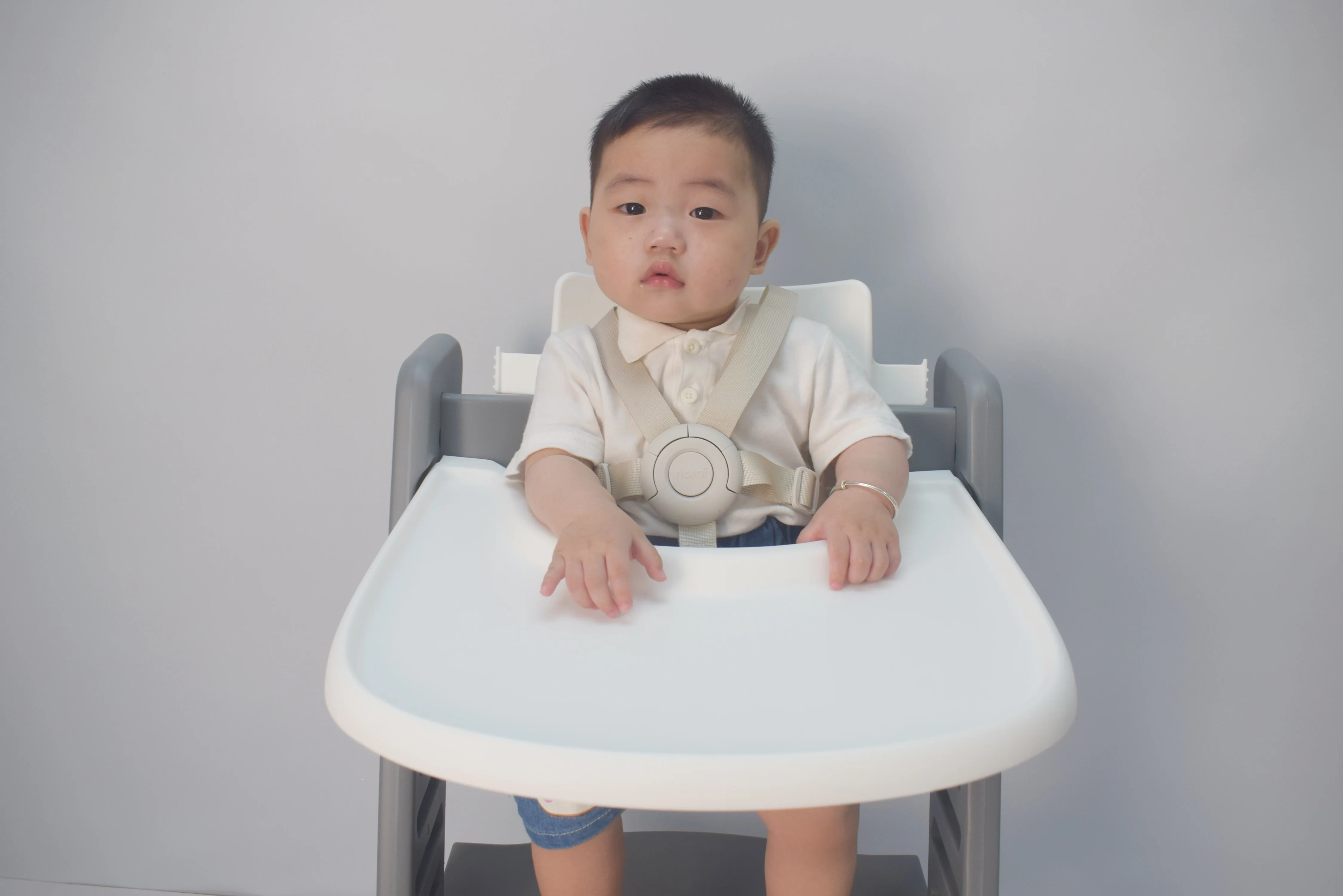 Replacement Harness for Nomi Stokke Highchair highchair accessories