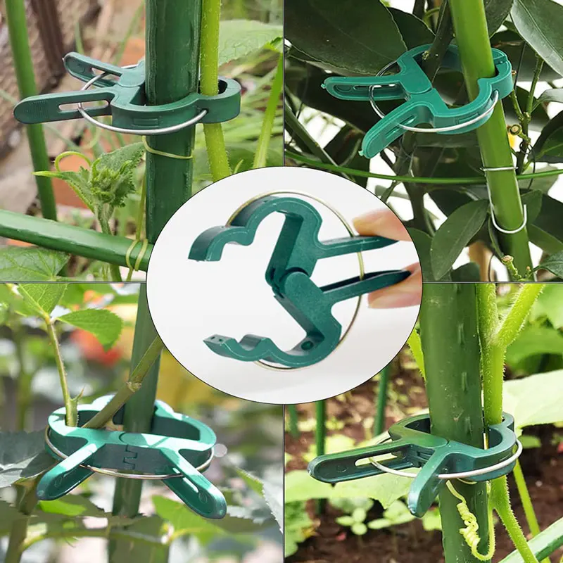 200Pcs Plant Fixed Clips Reusable Greenhouse Bracket forFixing Stems of Flower Vine Vegetables Tomatoes Fastener Garden Supplies