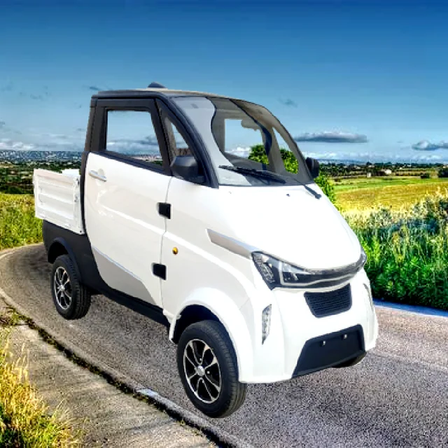 2022 Low Speed New Energy Electric Adult 3 Seat Pickup Truck to Transport Cargo 60v 3000w