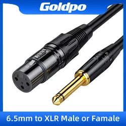 Professional - Grade Balanced Audio Extension Cable - 6.5mm to XLR - 3m