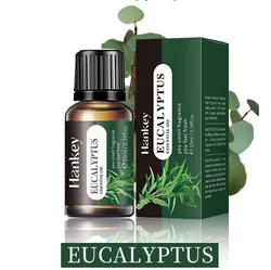 Assorted 20 - Flavor Essential Oil Collection for Aromatherapy and Home Fragrance (Eucalyptus)