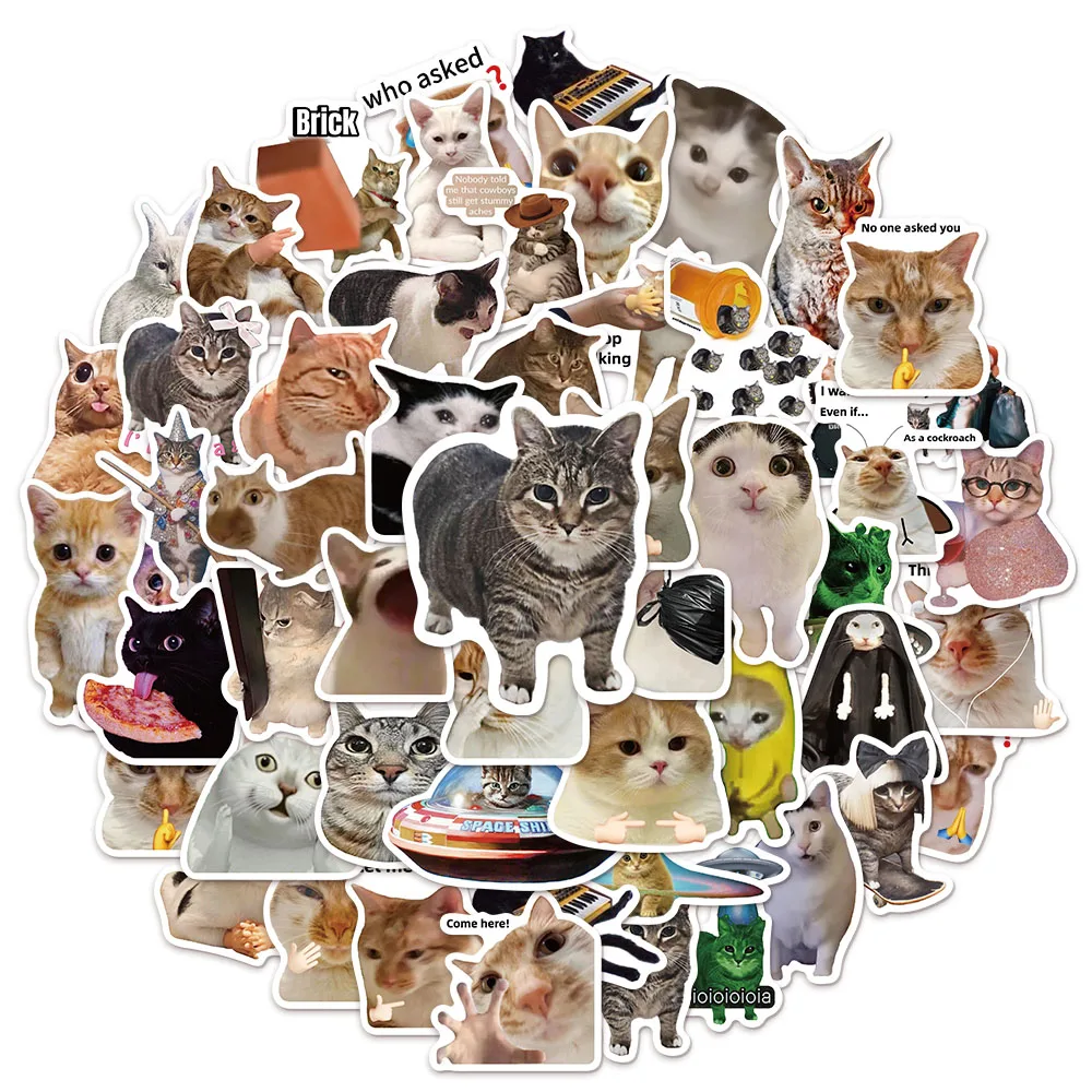CAT FUNNY Kreativa N&auml;tverksk&auml;ndis Kattmeme Samling DIY Graffiti Stickers 50/100pcs f&ouml;r Vattenflaskor, Skateboards & Leksaker