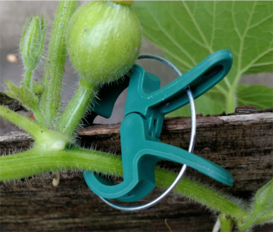 20Pcs Reusable Green Garden Plant Fixed Clips for Greenhous Vegetables Flowers Stem Vines Grape Clamp Support Straighten Stems