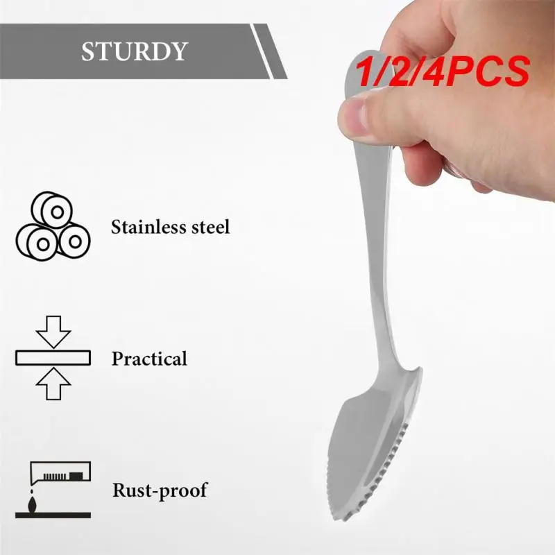 

1/2/4PCS Stainless Steel Fruit Scraper Apple Puree Spoon Tableware Supplement Food Scraping Mud Fruit Puree Tools Tableware