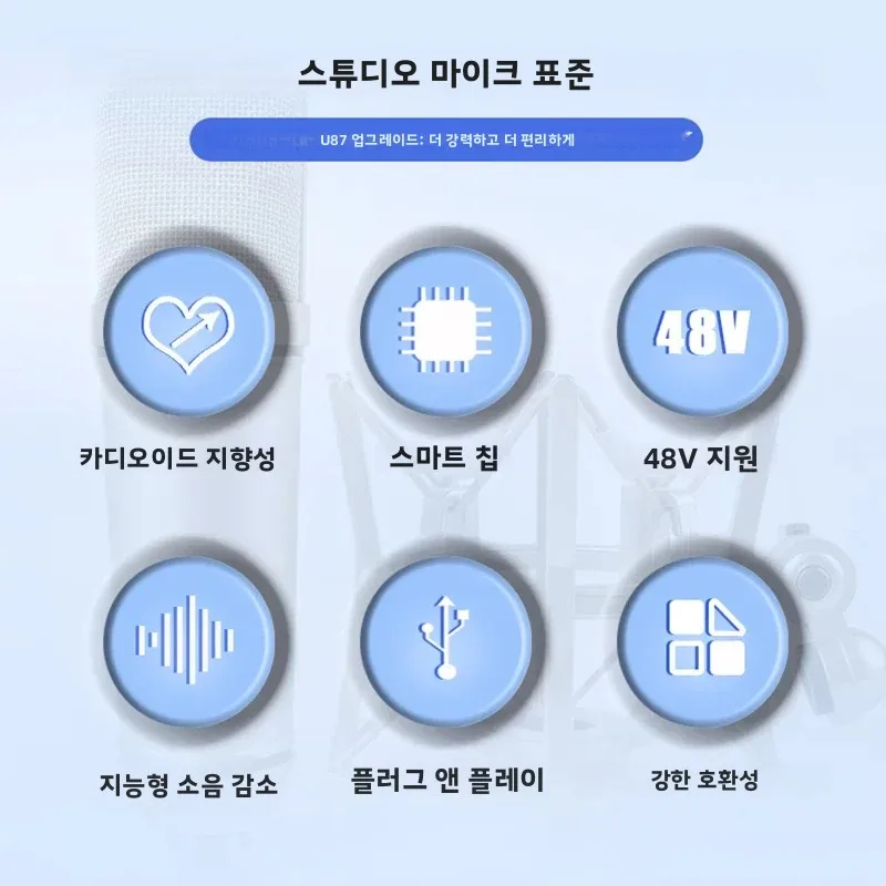 RAYHAYES U87 콘덴서 마이크 전문가용 카디오이드 스튜디오 마이크, 팟캐스팅, 스트리밍, 홈 스튜디오 녹음 장비