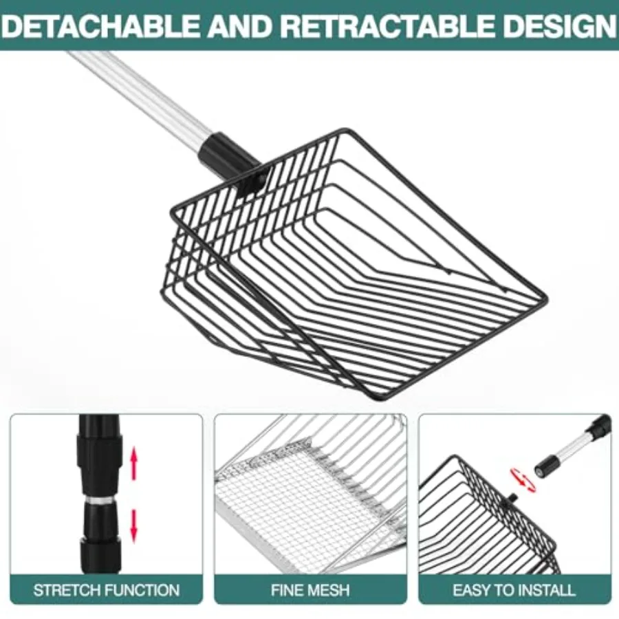 description