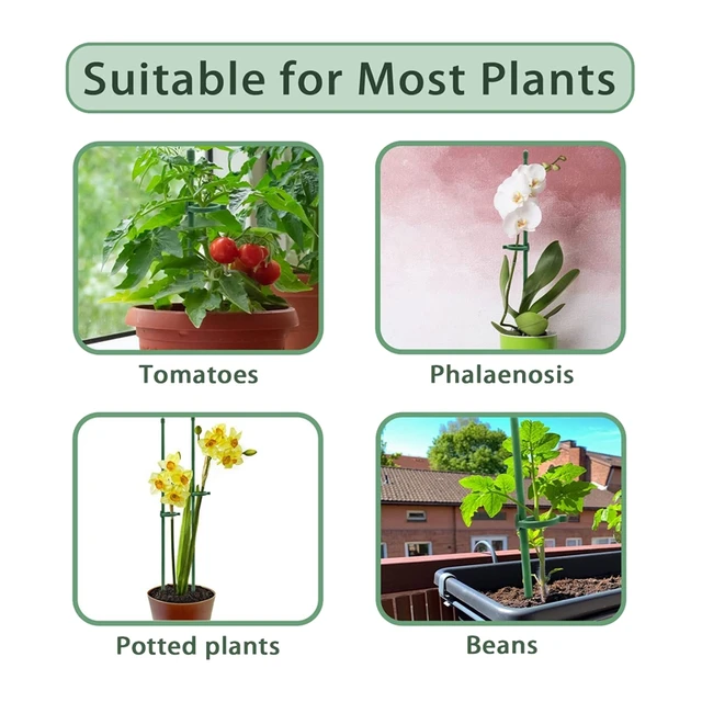 Növénytáblák Zöld Állítható Kerti Egy Szárú Növényi Tartó Tét, 19 db Botok Gyűrűkkel Beltéri - Image 6