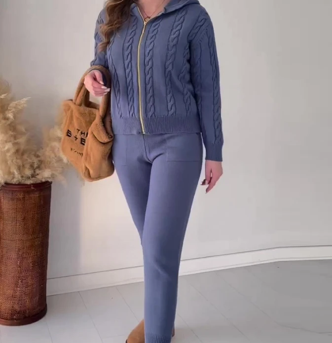 Women 2 Piece Sets 2024 Spring Summer Twisted Pattern Hooded Zippered Design Solid Color Top Casual Temperament Home Pants Set
