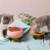 Cute Ceramic Cat Bowl Non-slip Flower Shape New High Foot Dogs Puppy Feeder Feeding Food Water Pet Supplies Cat Food Bowl 5