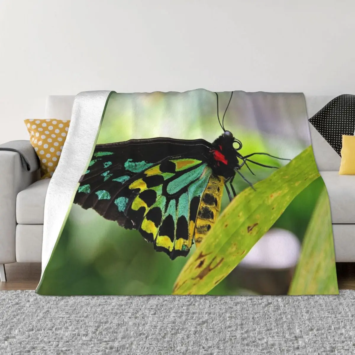 

Cairns Birdwing Butterfly Throw Blanket Soft wednesday Blankets