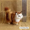 Cat Yellow Red