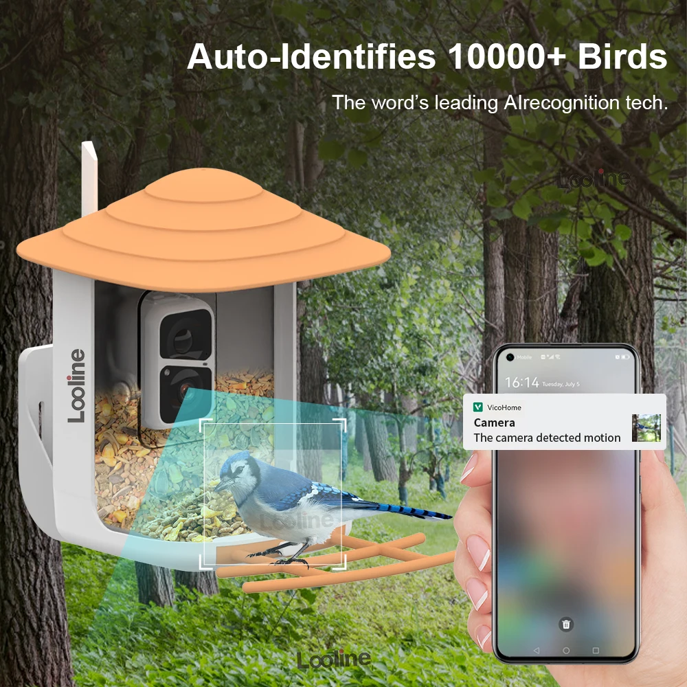 Caméra intelligente d'alimentation d'oiseaux, ai reconnu automatiquement  les oiseaux, image HD 1080p, charge solaire